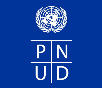Governance Specialist / Team Leader -Open to Tunisian Nationals only – UNDP