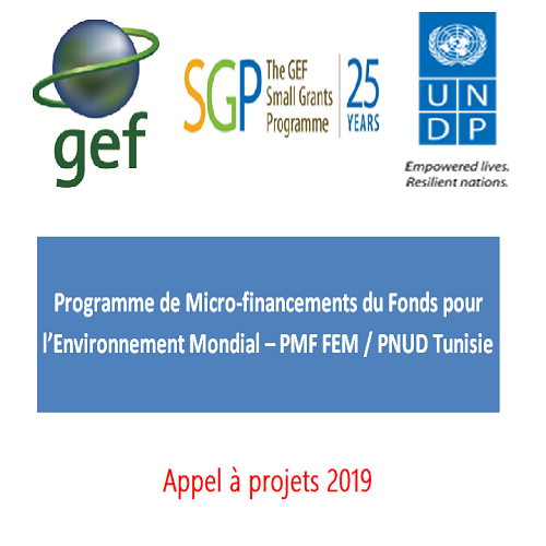 Le programme de Microfinancements du Fonds pour l’Environnement Mondial (PMF/FEM) lance un appel à projets