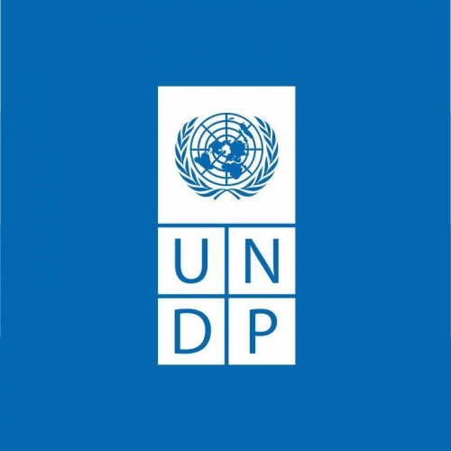 Analyste de projet-UNDP